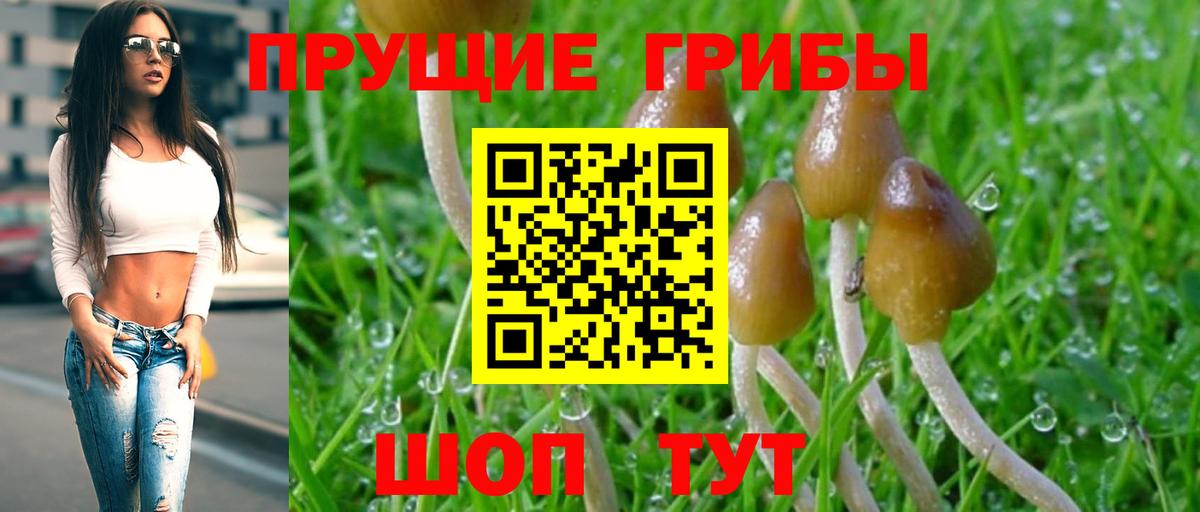 Псилоцибиновые грибы мухоморы  Вход с VPN  Нижнекамск 